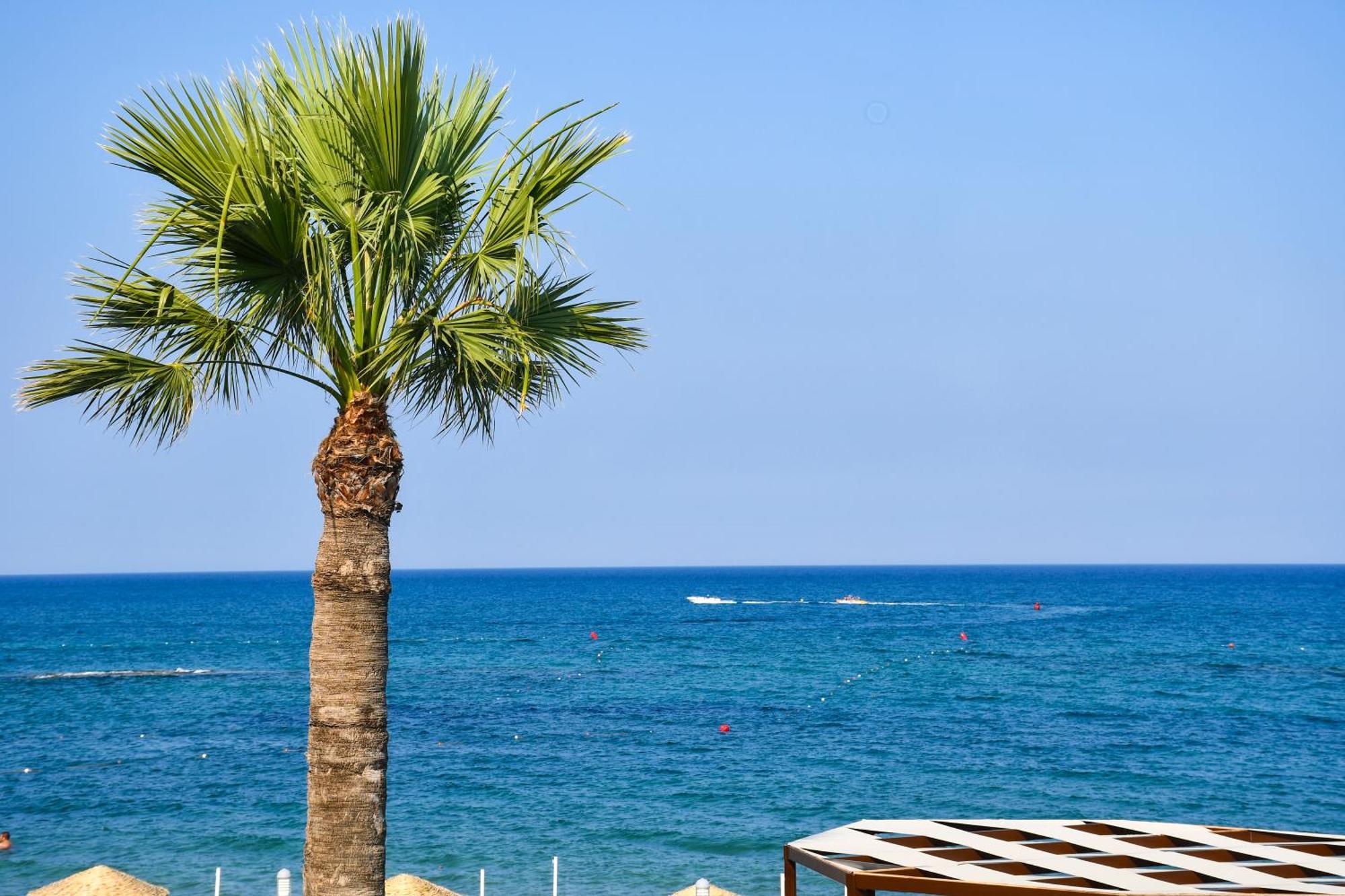 Mimoza Beach Hotel Agios Sergios Экстерьер фото